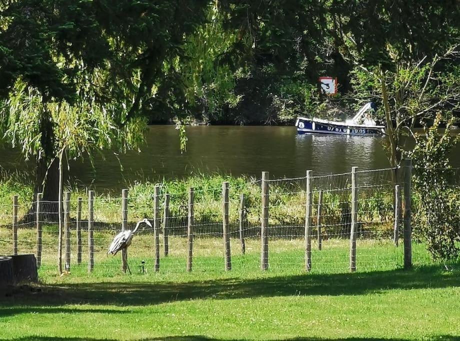 Le Ponton Des Sympetrums Aurec-Sur-Loire Esterno foto